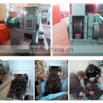 Coal Powder Briquette Press Machine photo-5