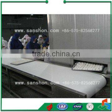 China IQF Spiral Freezer photo-4