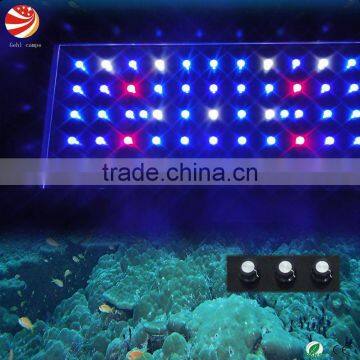 hotsale new style sunrise and sunset black housing black housing moon lightings led aquarium light