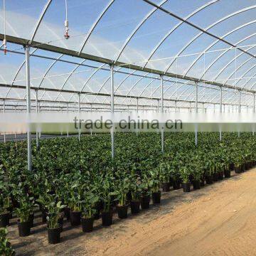 Greenhouse Plastic Film for Agriculture photo-2