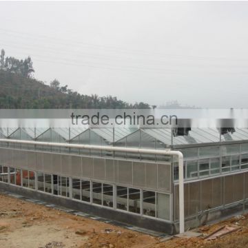 Commercial drip irrigation glass greenhouses with top quality