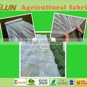 PP Nonwoven Fabric Polyethylene Fabric Non Woven photo-6