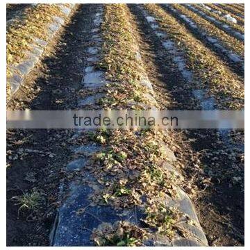 100% Biodegradable Mulch Film photo-2