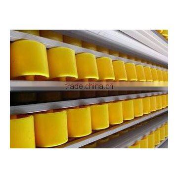 Roller Placon Conveyor With Plastic Roller Skatewheel Placon Roller Steel Frame photo-5