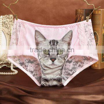 Women sexy cat underwear panties from china