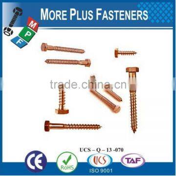 Made in Taiwan Lag Screw for Anchors photo-4