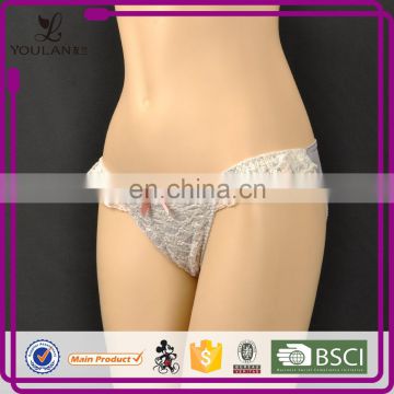 Top Quality Beautiful Female Embriodery Young Girl Underwear Sheer Lace Panties