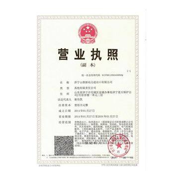 Jining Shantui New Power Import & Export CO.,LTD