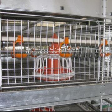 Breeding Cages photo-2