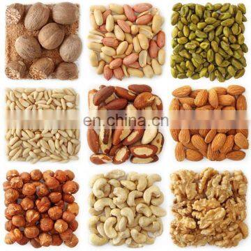 Commercial Walnut / Peanut / Almond / Macadamia Nut / Hazelnut Roaster With Low Price and High Quality photo-4