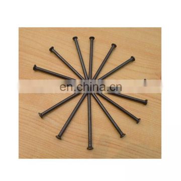 Brand New Design Black Cement Steel Concrete Nails with Great Factory Price