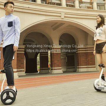 10 Inch Self-balancing Scooter Hoverboard With Handle Bar Little Swan photo-4