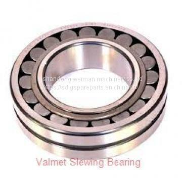 Valmet Slewing Bearing