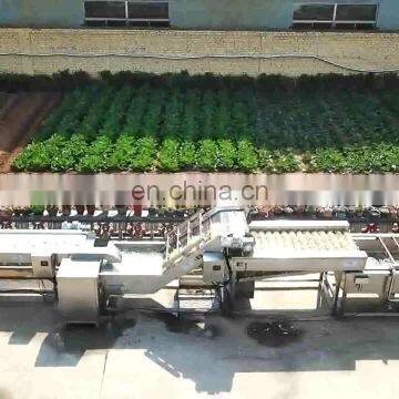 300kg/h output automatic potato chip machine production line from factory manufacturer