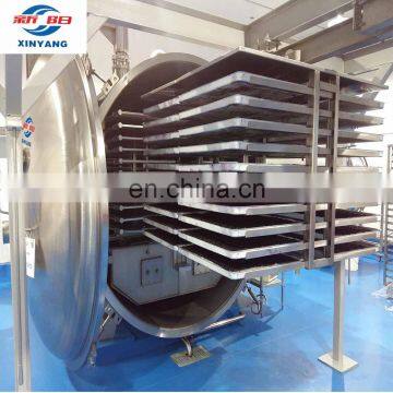 Fruits and Vegetables Vacuum Drying Machines / Industrial Freeze Dryer