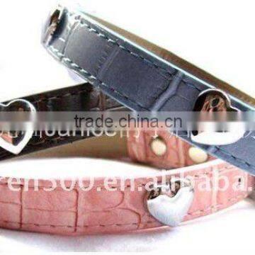 Wholesale fashion collars and leashes for pet