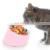 Favourable Price Travel Cool Color Big Plastic Cat Stainless Steel Pet Feeding Bowl