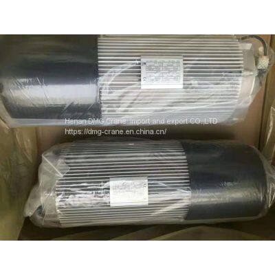 R&M Konecranes Hoist Motor MF10X-106N163P85006E-IP55