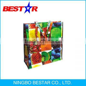 Promotional Creative Foldable Reusable Shopping Bag