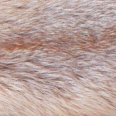 Искусственная шерсть