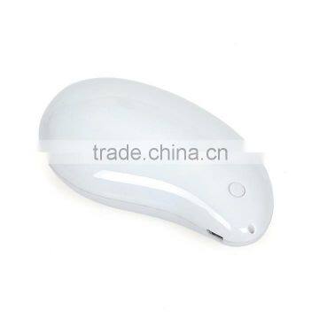 Natural Mango Keyring Mobile Power for Decoration photo-4