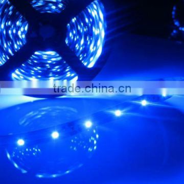 Double Density 12W SMD 2835 300LEDs Flexible waterproof LED Strip Light 20FT/5m Reel