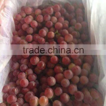 sell Yunnan grapes/Fresh red grapes/Best fresh red grapes