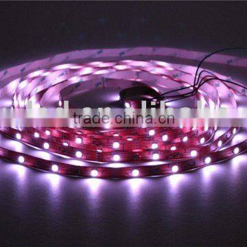 3528 SMD Flexible LED Strip with high quality