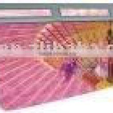 solvent printer SK3306