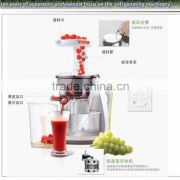 New products slow juicer,household juicer with CE approval