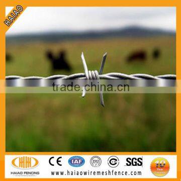 Hot dipped galvanized barbed wire mesh