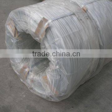 Yard Nail/Galvanized Steel Wire 3.00mm