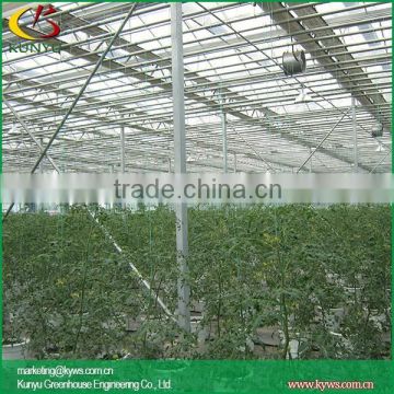 Sawtooth type polytunnel greenhouse greenhouse shelving