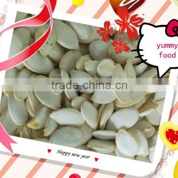 buy cheap price bulk snow white pumpkin seeds for sale