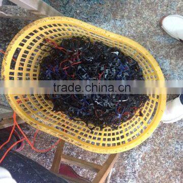 2015 Korean Fashion Promotion Sense Spectacles Frame photo-3