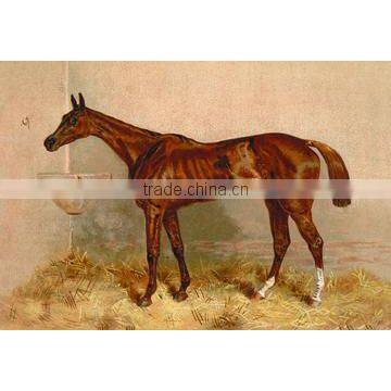 Emblem Steeplechase Mare 12x18 Giclee on canvas