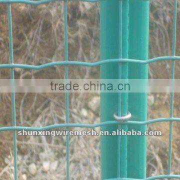 PVC Coated Holland Wire Mesh Fence Factory