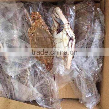 Frozen Whole Blue Swimming Crab for Sale photo-2