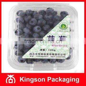 Disposable Clear Plastic 125g Blueberry containers