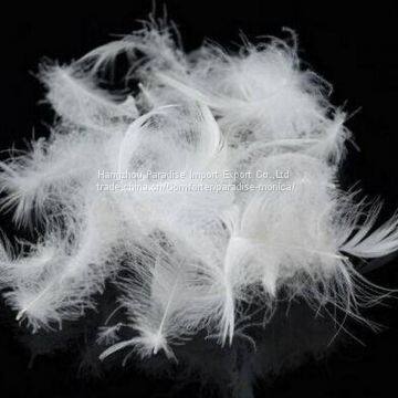 cheap washed white goose feather down