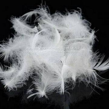 Cheap Washed White Goose Feather Down