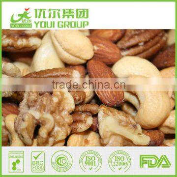 HAHAL BRC ISO Certificate Salted Roasted Cashews NON-GMO,Rich in Dietary Fibres, Good for Stomach photo-3