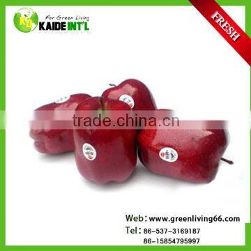 fresh red delicious apples for sale