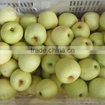 Fresh Apple