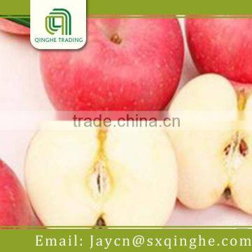 Organic Fuji Apple Varieties photo-3