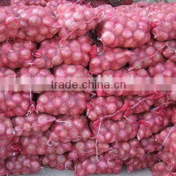 2011 fresh red onion