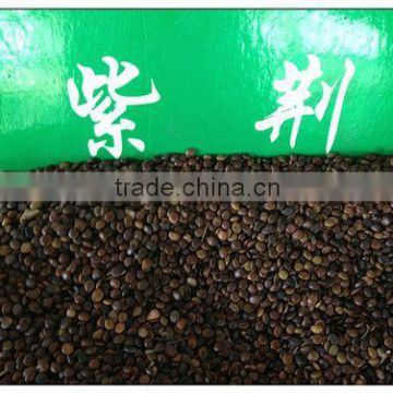 2016 High Quality Judas Redbud Bauhinia Cercis Seeds For Planting