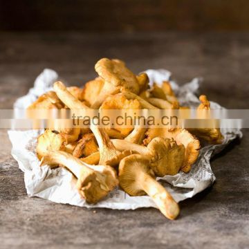 Wild Pure Natural Organic Dried Chanterelle Mushroom