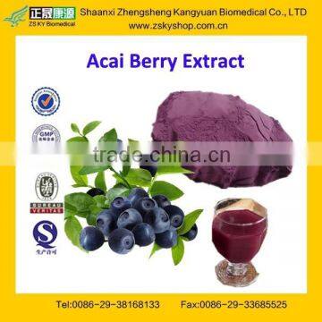 GMP Factory Supply Natural Acai Berry Powder Extract