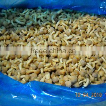 Frozen nameko top quality M grade